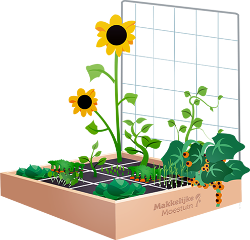 Moestuin- kruiden- en plantenbakken