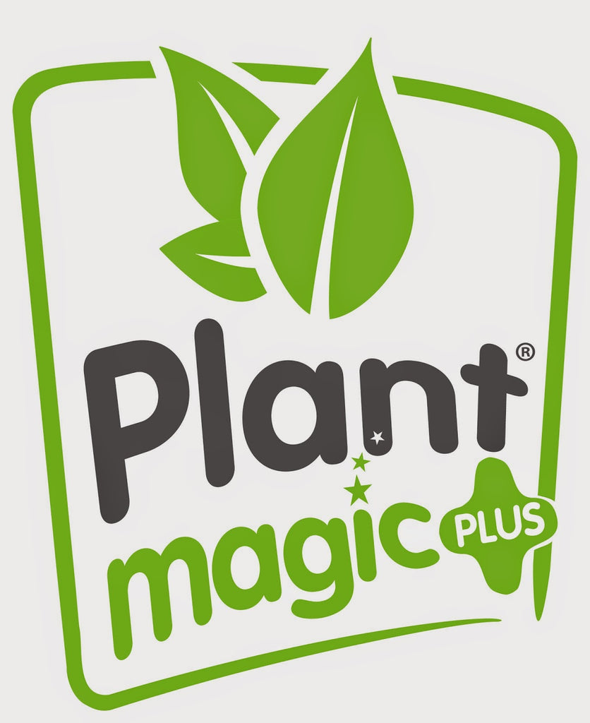 Plant Magic